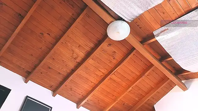 SilvaBranko online show from March 14, 2026, 8:04 pm