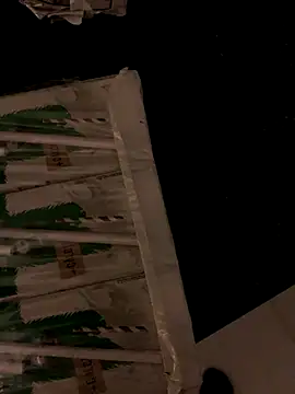 Gigolo profissional online show from November 7, 2025, 1:32 am