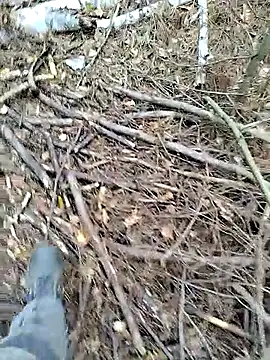 Snapshot of prcalek19 chatting on October 14, 2025, 9:10 am prcalek19 online show from October 14, 2025, 9:10 am