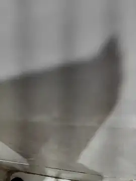 Snapshot of joejoe7 chatting on October 2, 2025, 1:53 am joejoe7 online show from October 2, 2025, 1:53 am