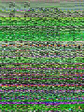 Sunbelxx online show from December 18, 2025, 9:47 am