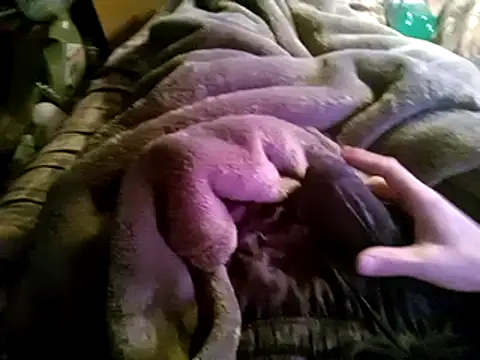 Snapshot of hothippie420 chatting on March 12, 2025, 4:24 pm hothippie420 online show from March 12, 2025, 4:24 pm