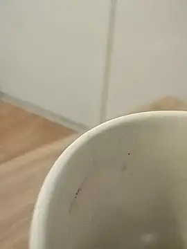 chalaHot online show from December 10, 2024, 9:01 am