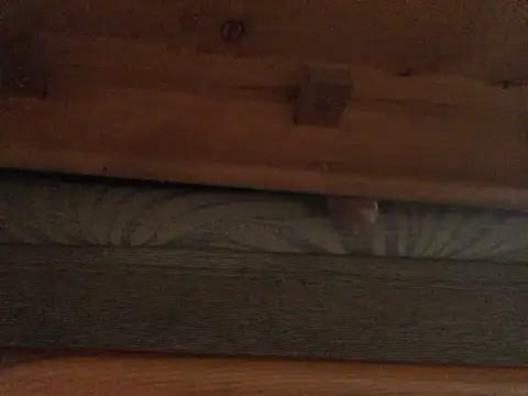 Dicksexhandjob online show from February 21, 2025, 1:33 pm