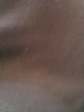 Sarita 7 online show from January 19, 2025, 11:45 am