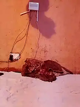 Snapshot of cute_naimah chatting on December 5, 2025, 6:17 pm cute naimah online show from December 5, 2025, 6:17 pm