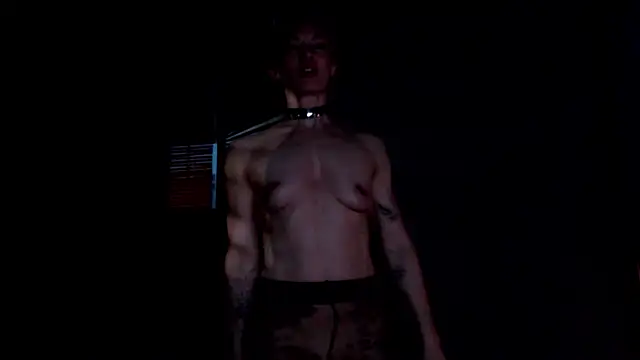 Dorothy Meyer online show from April 18, 2026, 8:53 pm