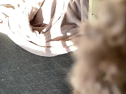 Snapshot of Fuckbuddy36 chatting on March 10, 2025, 12:17 pm Fuckbuddy36 online show from March 10, 2025, 12:17 pm