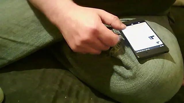 Snapshot of vimilili chatting on October 31, 2025, 7:54 pm vimilili online show from October 31, 2025, 7:54 pm