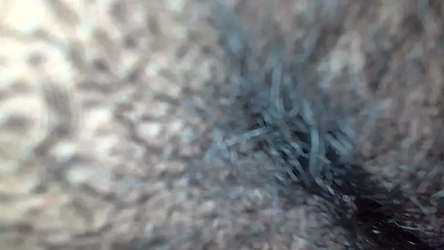 white sexy  online show from November 17, 2025, 10:41 am