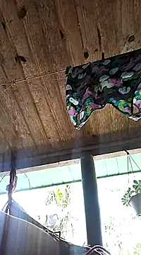 hemo691 online show from February 5, 2025, 6:04 pm