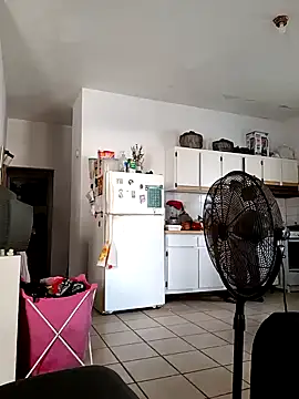 Dj-yefri-pauta online show from December 27, 2024, 4:21 pm