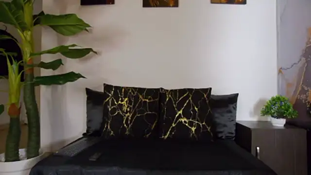 Snapshot of alex_noa chatting on February 14, 2026, 7:25 pm alex noa online show from February 14, 2026, 7:25 pm