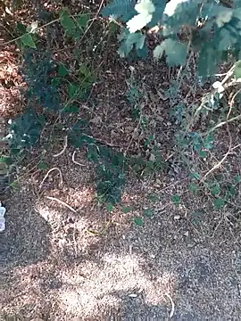 Snapshot of Ajith_mvi chatting on March 26, 2026, 11:08 am Ajith mvi online show from March 26, 2026, 11:08 am