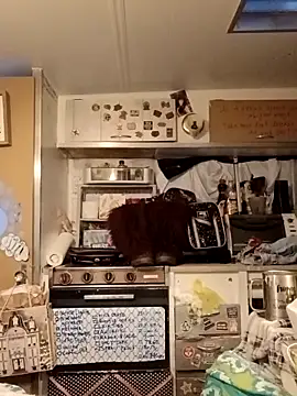 whitetrashdirtyslut online show from March 18, 2026, 1:13 pm