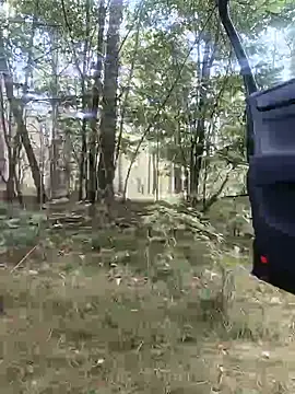 Snapshot of niesmialy39oon chatting on September 15, 2025, 9:43 am niesmialy39oon online show from September 15, 2025, 9:43 am