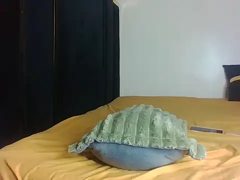 Snapshot of Switmelanin chatting on February 22, 2026, 4:41 pm Switmelanin online show from February 22, 2026, 4:41 pm