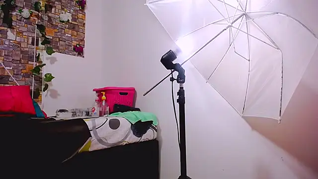 Snapshot of MaidenGame chatting on December 2, 2025, 3:58 pm MaidenGame online show from December 2, 2025, 3:58 pm