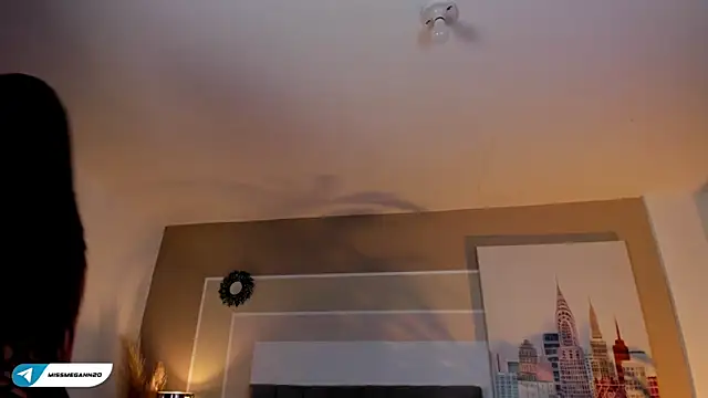 missmegann online show from January 29, 2025, 12:56 pm