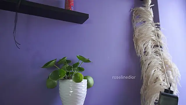 roselinedior online show from May 20, 2026, 4:26 pm