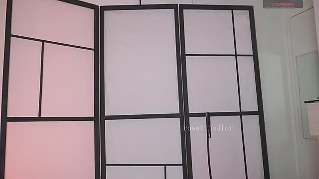 roselinedior online show from March 6, 2026, 1:06 pm