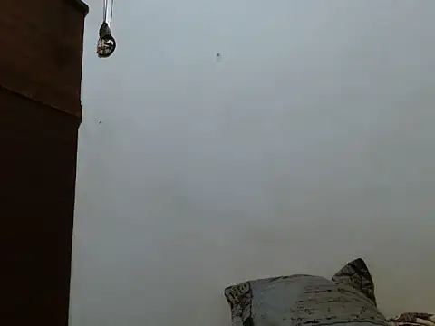 mademonsexy online show from November 7, 2025, 2:27 am