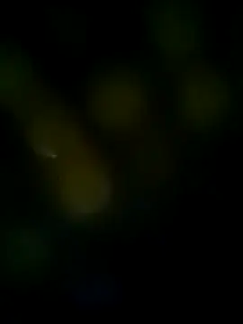 LongDickZee562 online show from March 8, 2025, 10:11 am