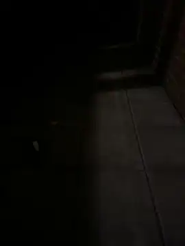 Im the b0ss online show from March 19, 2026, 12:43 am