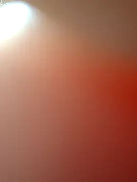 zhenzhen521 online show from April 20, 2026, 3:02 pm