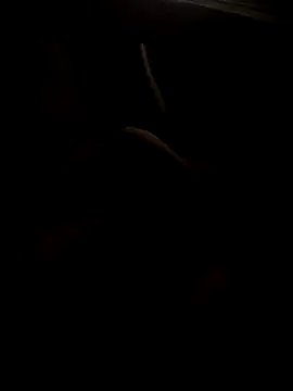 heszkewmeszke36 online show from December 23, 2025, 12:00 am