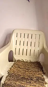 Jessicca Cum online show from March 11, 2025, 6:52 pm