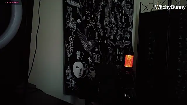 Snapshot of witchybunny chatting on January 11, 2025, 3:20 pm witchybunny online show from January 11, 2025, 3:20 pm