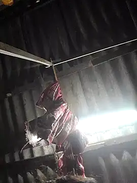 HotSexyBoudi online show from October 29, 2025, 8:57 am