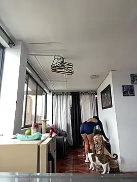 Snapshot of Kimmymadison- chatting on March 3, 2026, 9:44 pm Kimmymadison- online show from March 3, 2026, 9:44 pm