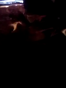 ySqmbVanbe online show from March 2, 2026, 7:59 am