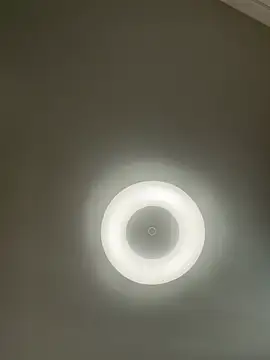 Snapshot of Lady_MiaOlson chatting on January 6, 2025, 4:36 am Lady MiaOlson online show from January 6, 2025, 4:36 am