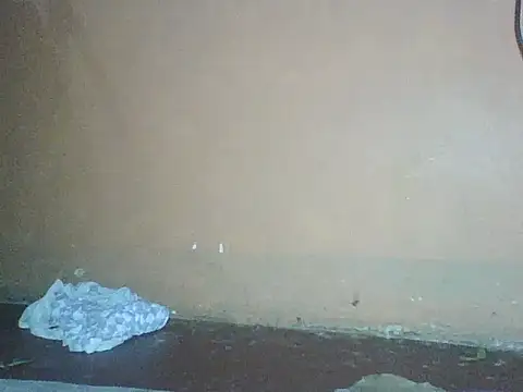 Snapshot of Naivegirrl chatting on December 2, 2025, 10:33 pm Naivegirrl online show from December 2, 2025, 10:33 pm