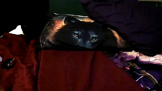 wolfgirl97 online show from December 4, 2025, 12:26 pm
