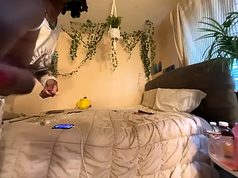 magicalc00ch online show from November 11, 2025, 1:50 pm