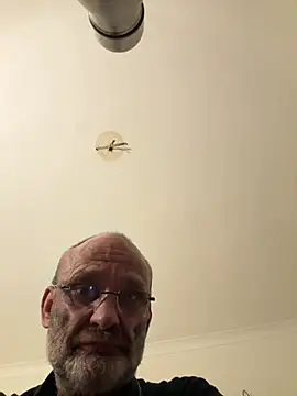 Snapshot of ShyDave81 chatting on July 8, 2026, 3:08 am ShyDave81 online show from July 8, 2026, 3:08 am