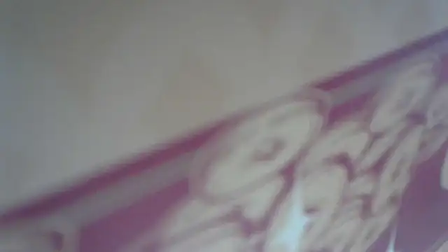 lovense test04 online show from April 8, 2026, 3:30 am