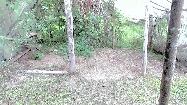 Snapshot of tayiro_r chatting on October 24, 2025, 5:12 pm tayiro r online show from October 24, 2025, 5:12 pm