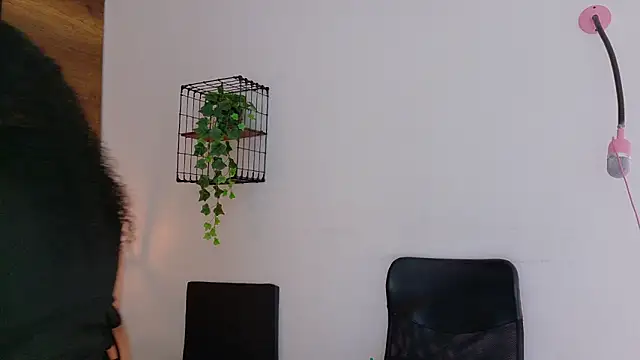 memphiswilliam online show from January 17, 2026, 2:59 am