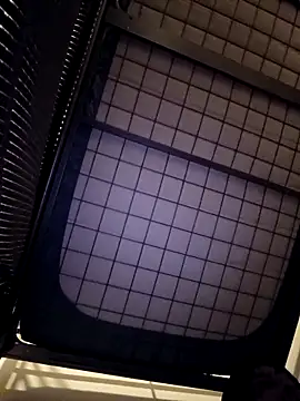 zxcalientes online show from November 25, 2025, 5:08 am