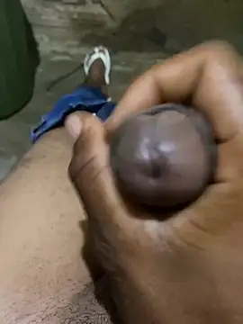 s1437jdjjddjjshbx online show from March 17, 2025, 9:01 am