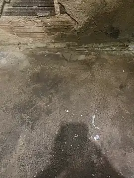 s1437jdjjddjjshbx online show from March 8, 2025, 2:40 pm