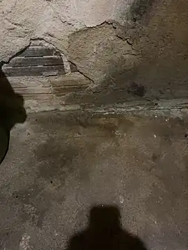 s1437jdjjddjjshbx online show from March 5, 2025, 5:29 am