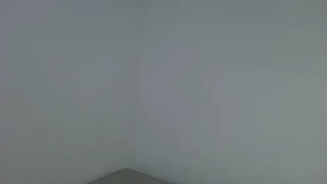 Snapshot of Yara0k chatting on March 3, 2025, 9:13 am Yara0k online show from March 3, 2025, 9:13 am