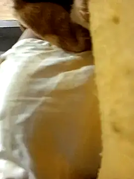 Snapshot of dGregoLCollT chatting on November 10, 2025, 1:54 am dGregoLCollT online show from November 10, 2025, 1:54 am