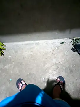 pujarteag online show from March 24, 2026, 4:45 am